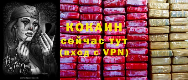ALPHA PVP Няндома