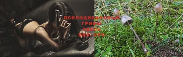 ALPHA PVP Нягань
