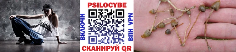 Псилоцибиновые грибы Cubensis Истра